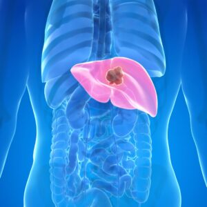 liver graphic