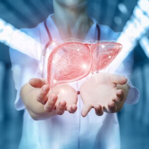 artistic rendering of liver