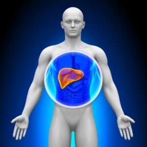 liver graphic